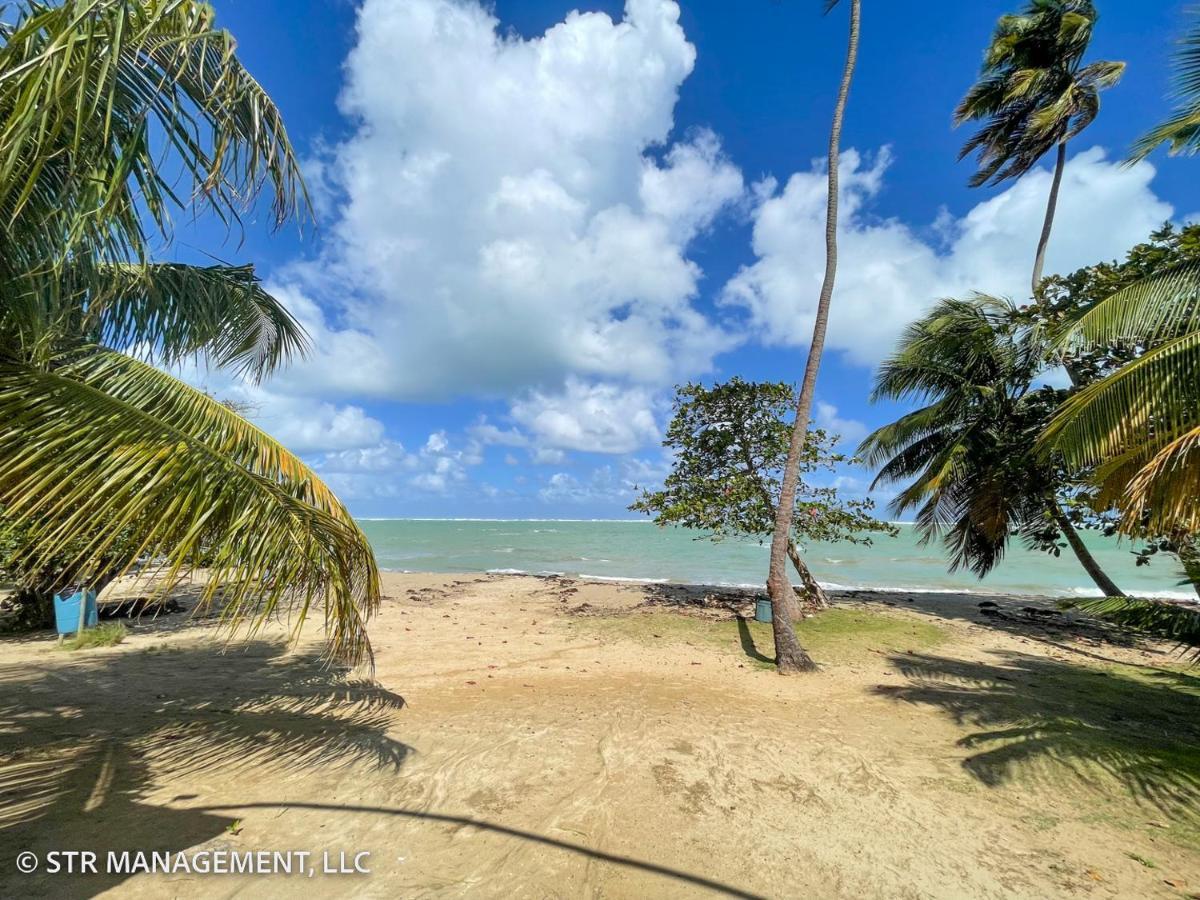 Upscale Condo At Aquatika Beach & Vacation Villas Loiza Extérieur photo